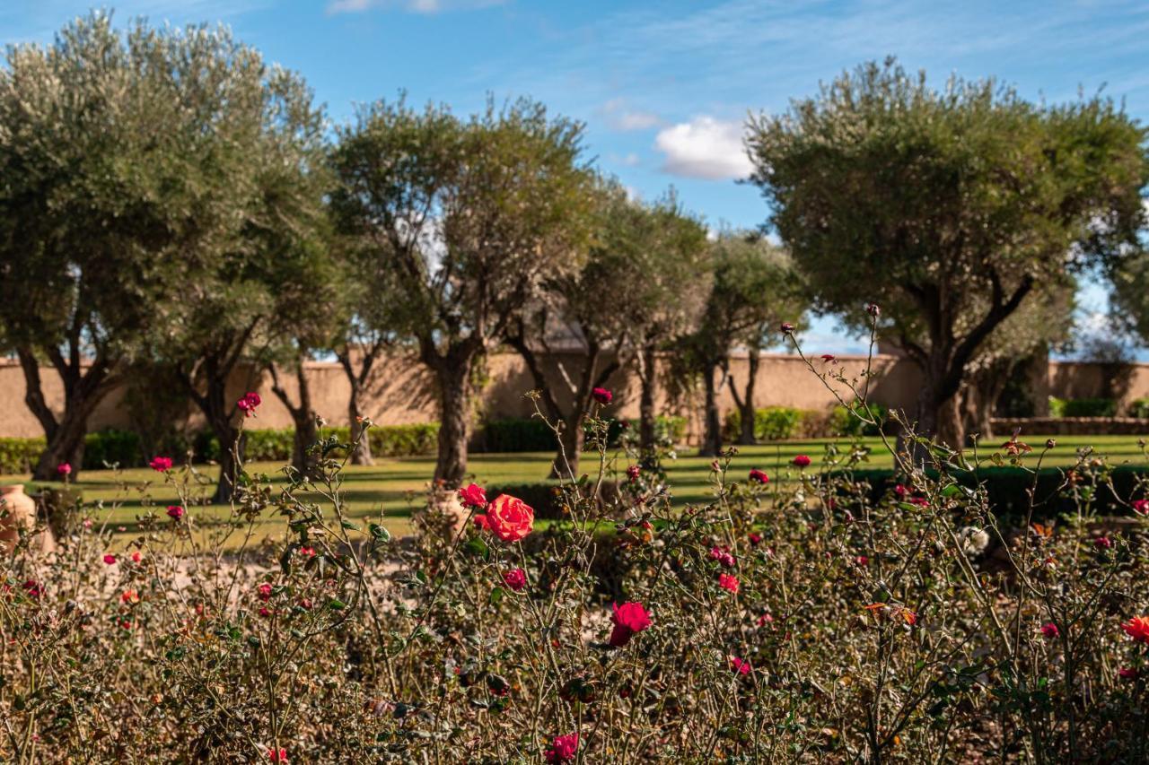 Bed and Breakfast Le Palais Paysan Marrakesh Esterno foto