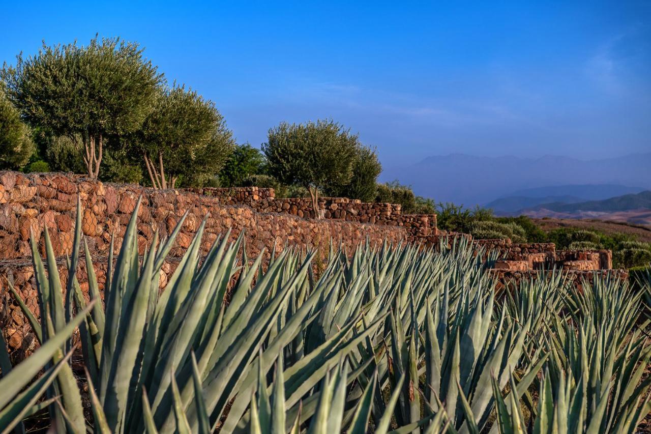 Bed and Breakfast Le Palais Paysan Marrakesh Esterno foto