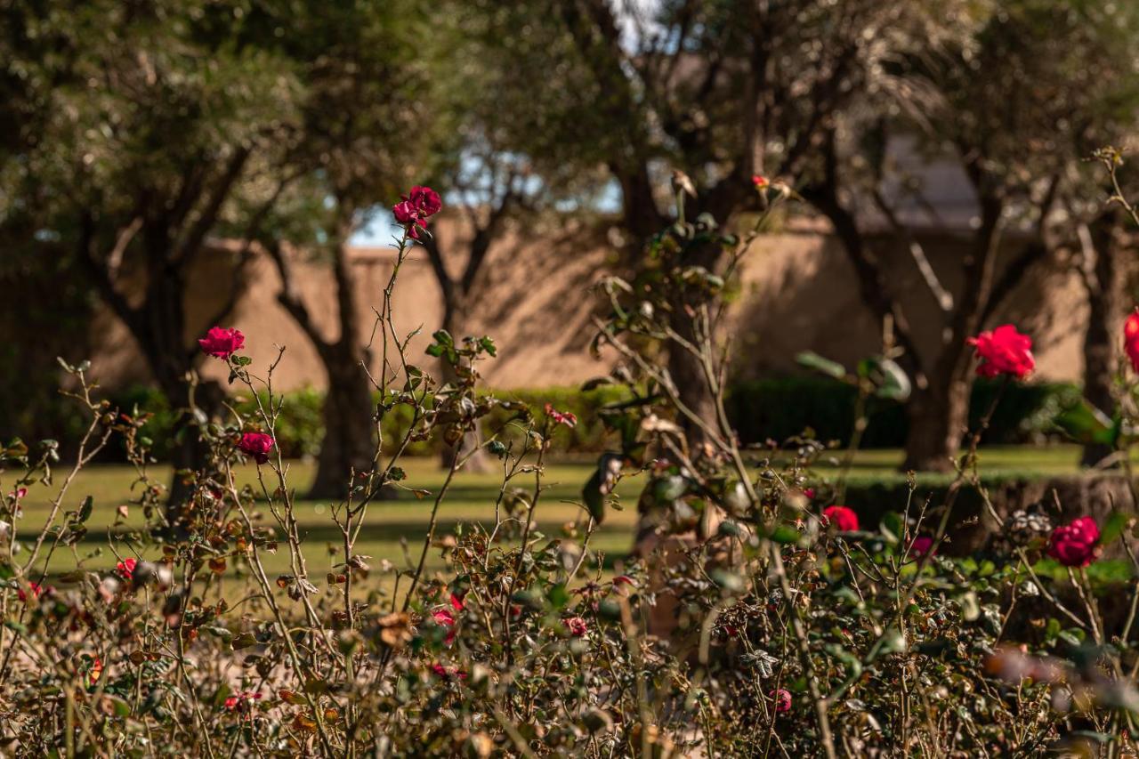 Bed and Breakfast Le Palais Paysan Marrakesh Esterno foto